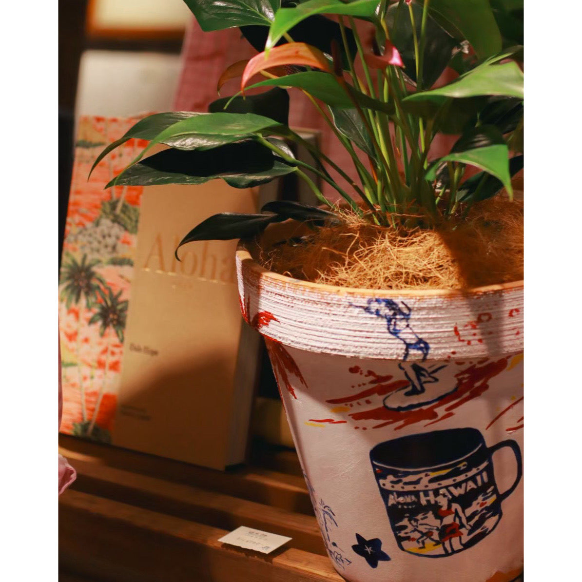 植木鉢『ハワイトリコ』